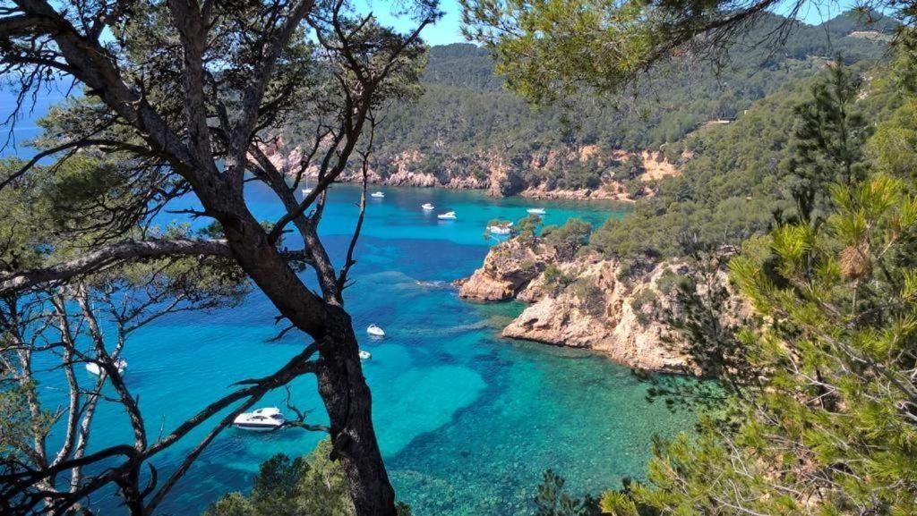 Studio Bandol Centre 2 Etoiles Ideal Emplacement ภายนอก รูปภาพ