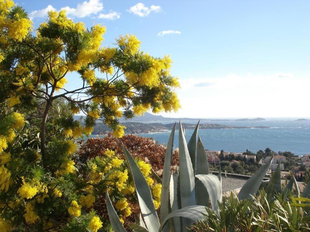 Studio Bandol Centre 2 Etoiles Ideal Emplacement ภายนอก รูปภาพ